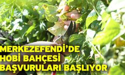 Merkezefendi’de hobi bahçesi başvuruları başlıyor