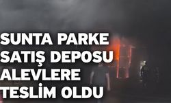 Sunta parke satış deposu alevlere teslim oldu