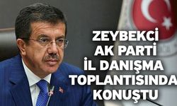 Zeybekci Ak Parti İl Danışma Toplantısında Konuştu