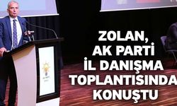 Zolan, Ak Parti İl Danışma Toplantısında Konuştu