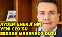 Aydem Enerji’nin yeni CEO’su Serdar Marangoz oldu