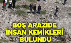 Boş arazide insan kemikleri bulundu