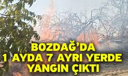 Bozdağ’da 1 ayda 7 ayrı yerde yangın çıktı