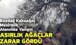 Bozdağ Kabaağaç Mesirelik Alanında Yangın! Asırlık Ağaçlar Zarar Gördü