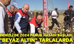 Denizli’de 2024 Pamuk Hasadı Başladı "Beyaz Altın" Tarlalarda