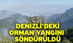 Denizli'deki orman yangını söndürüldü