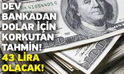 Dev bankadan dolar için korkutan tahmin: 43 lira olacak!