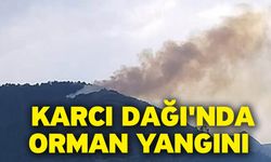 Karcı Dağı'nda Orman Yangını