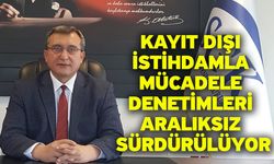 Kayıt dışı istihdamla mücadele denetimleri aralıksız sürdürülüyor