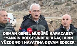 Orman Genel Müdürü Karacabey “Yangın bölgesindeki ağaçların yüzde 90'ı hayatına devam edecek”