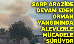 Sarp Arazide Devam Eden Orman Yangınında Alevlerle Mücadele Sürüyor