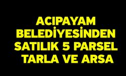 Acıpayam Belediyesinden Satılık 5 Parsel Tarla Ve Arsa