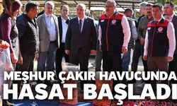 Acıpayam’ın Lezzeti ile Meşhur Çakır Havucunda Hasat Başladı