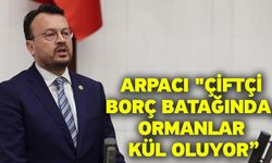 Arpacı "Çiftçi Borç Batağında, Ormanlar Kül Oluyor”