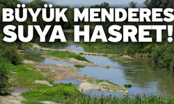 Büyük Menderes suya hasret!