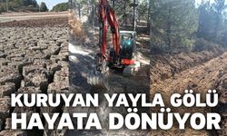 Kuruyan Yayla Gölü Hayata Dönüyor