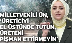 Milletvekili Ün, ‘Üreticiyi el üstünde tutun, üreteni pişman ettirmeyin’