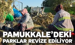 Pamukkale’deki Parklar Revize Ediliyor