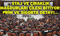 Staj ve Çıraklık Mağdurları Çilesi Bitiyor! Prim ve Sigorta Detayı...