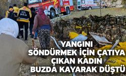 Yangını Söndürmek İçin Çatıya Çıkan Kadın Buzda Kayarak Düştü