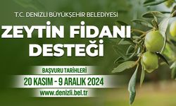 Denizli Büyükşehir çiftçilere 50 bin zeytin fidanı dağıtacak