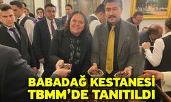 Babadağ Kestanesi TBMM’de tanıtıldı