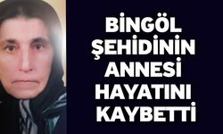 Bingöl şehidinin annesi hayatını kaybetti