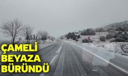 Çameli Beyaza Büründü