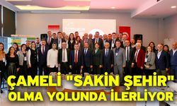 Çameli "Sakin Şehir" Olma Yolunda İlerliyor