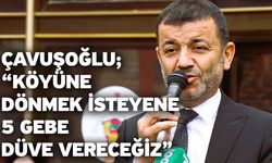 Çavuşoğlu; “Köyüne dönmek isteyene 5 gebe düve vereceğiz”