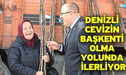 Denizli cevizin başkenti olma yolunda ilerliyor