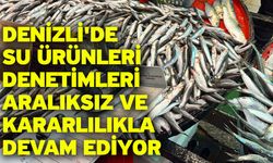 Denizli'de su ürünleri denetimleri aralıksız ve kararlılıkla devam ediyor