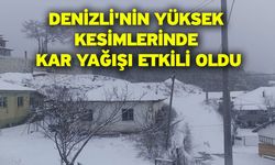 Denizli'nin yüksek kesimlerinde kar yağışı etkili oldu