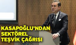 Kasapoğlu'ndan Sektörel Teşvik Çağrısı