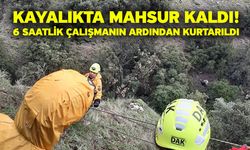 Kayalıkta mahsur kaldı! 6 saatlik çalışmanın ardından kurtarıldı