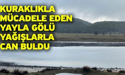 Kuraklıkla mücadele eden Yayla Gölü yağışlarla can buldu