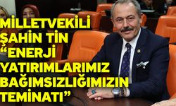 Milletvekili Şahin Tin “Enerji yatırımlarımız bağımsızlığımızın teminatı”