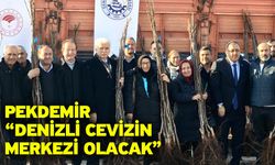 Pekdemir “Denizli cevizin merkezi olacak”