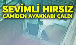 Sevimli hırsız camiden ayakkabı çaldı