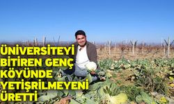 Üniversite mezunu genç, köyde üretilmeyi üreterek bir ilke imza attı