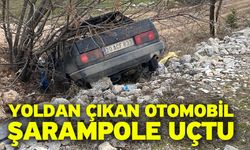 Yoldan çıkan otomobil şarampole uçtu