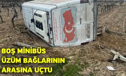 Boş minibüs üzüm bağlarının arasına uçtu: 1 yaralı