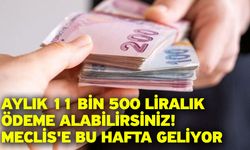 Aylık 11 bin 500 liralık ödeme alabilirsiniz! Meclis'e bu hafta geliyor