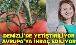 Denizli’de yetiştiriliyor, Avrupa’ya ihraç ediliyor