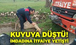 Kuyuya düştü! İmdadına itfaiye yetişti