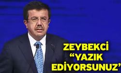 Zeybekci “Yazık ediyorsunuz”