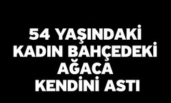 54 Yaşındaki Kadın Bahçedeki Ağaca Kendini Astı