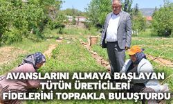 Avanslarını almaya başlayan tütün üreticileri fidelerini toprakla buluşturdu