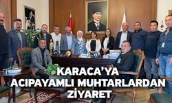 TBMM Başkanvekili Gülizar Biçer Karaca’ya Acıpayamlı Muhtarlardan Ziyaret