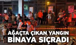 Ağaçta çıkan yangın binaya sıçradı